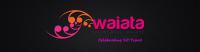 Maori Music Month Takes Over The Gold Coast