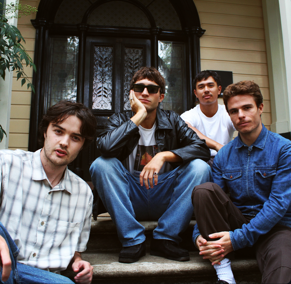 Meddlesphoto