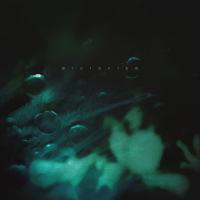Micronism Inside A Quiet Mind Album Out Now