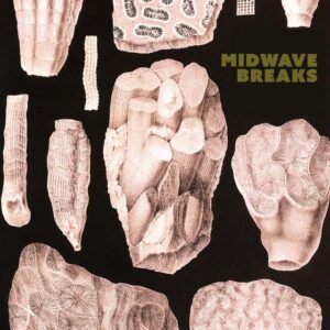 Midwave Breaks Are 'standing Inside Out'