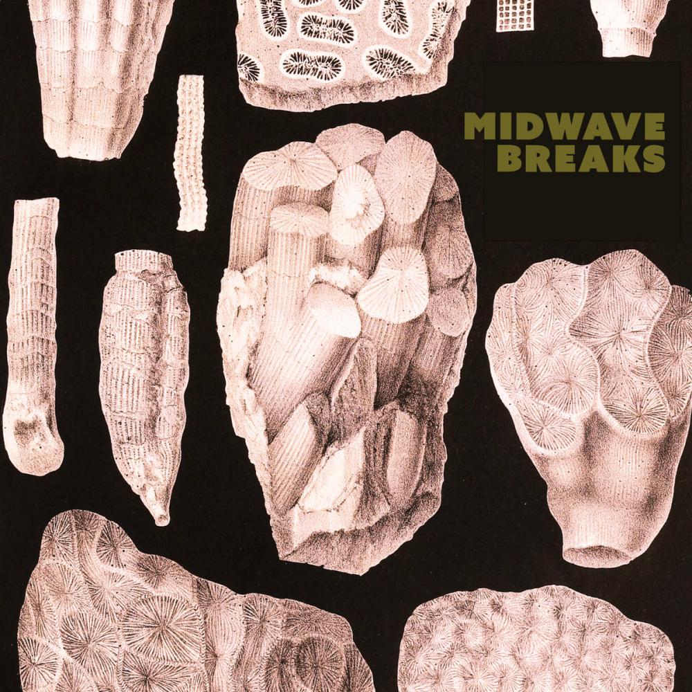 Midwave Breaks Deliver A Triple Scoop Treat To See Out The Summer With Their New Ep 'standing Inside Out'