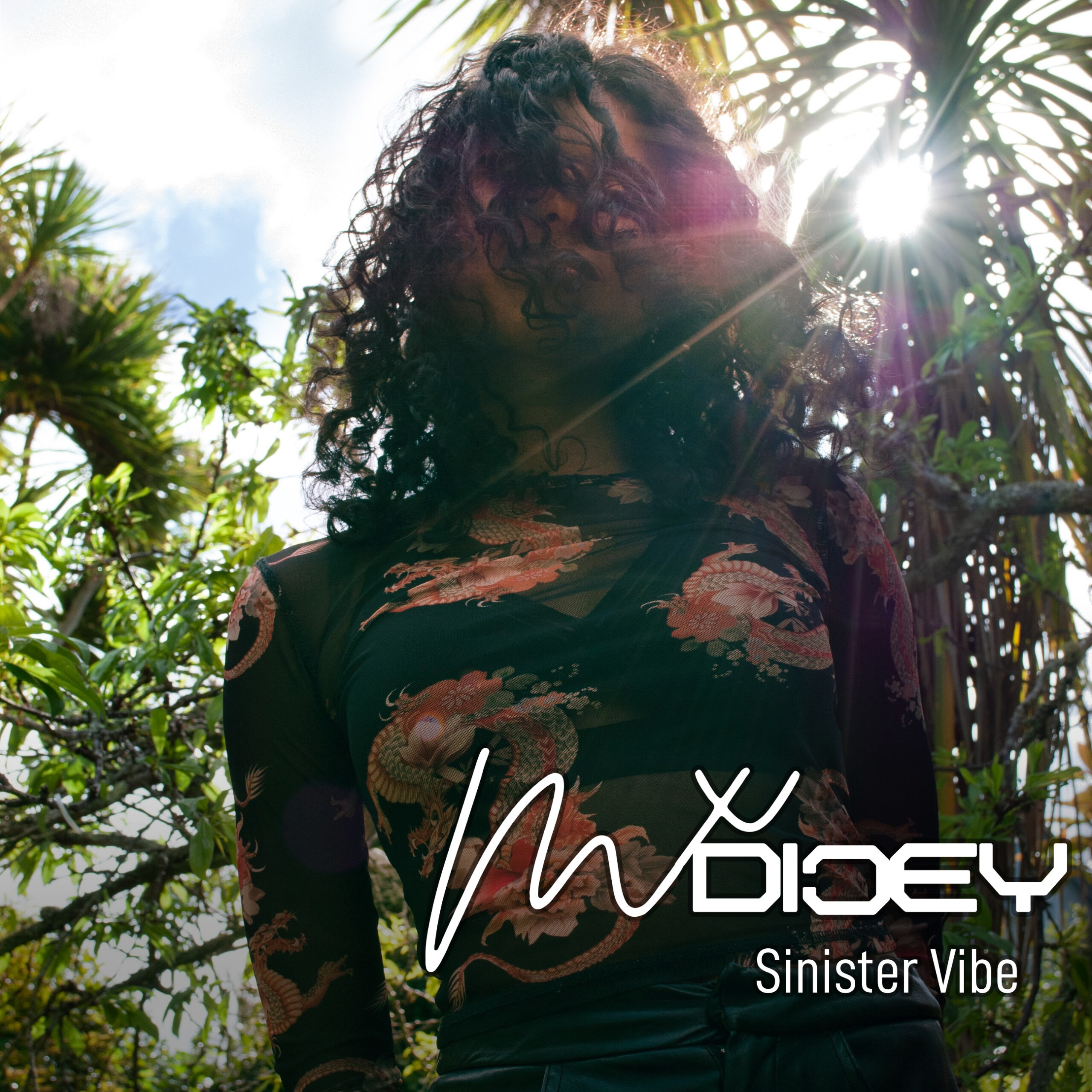 Mxdiceycover