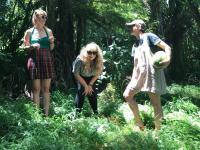 N. T. Honey Release Their Debut Album 'accidental Punk'