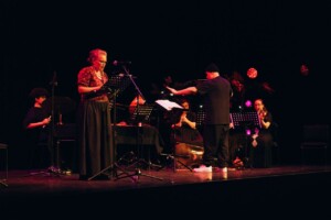 Nelsonartsfest
