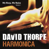 New Album From David Thorpe