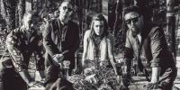 New Music From The Solomon Cole Band