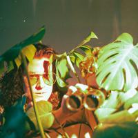 New Release From Dual 'gummy Bear'