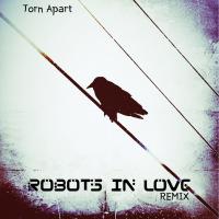 New Remix From Robots In Love X Ikon