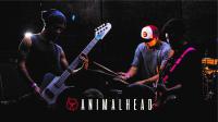 New Single For Animalhead