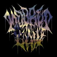 New Single From Ripship