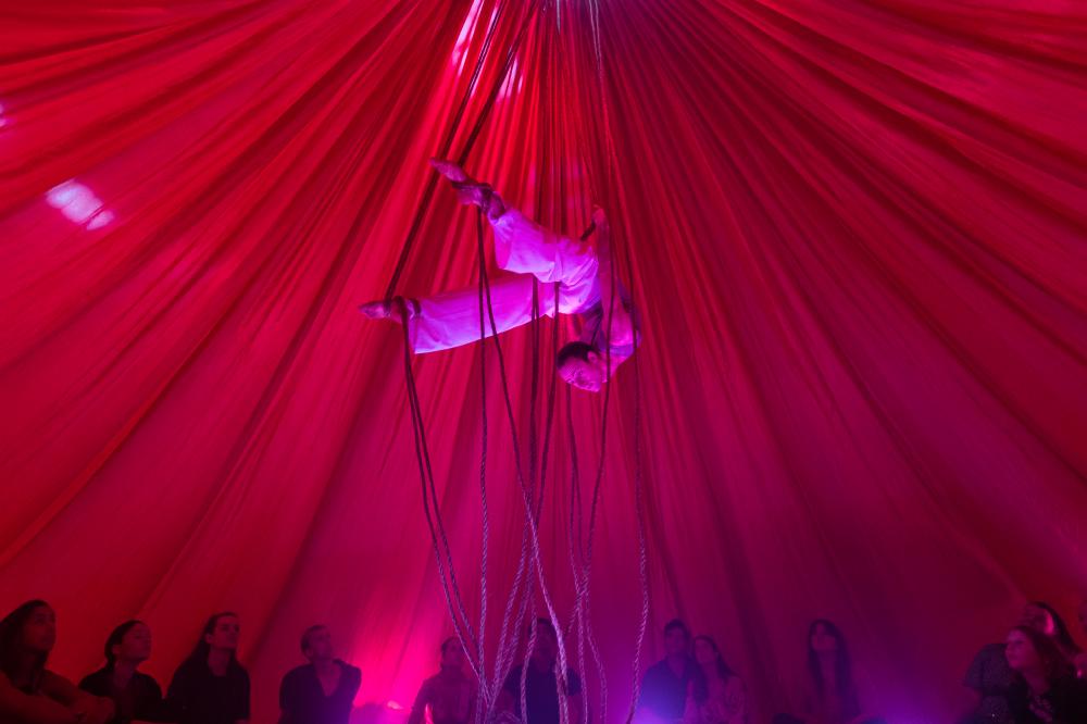 New Zealand Fringe Festival Is Back For 2024 And Supporting Artists With New Capability Programme