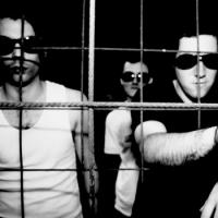 Nz Blokes Interview: Thin White Lines