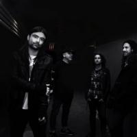 Nz Blokes Interview With Ekko Park