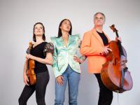 Nztrio Harnesses The Emotional Contrasts Of Nature In A Dramatic 2021 Programme