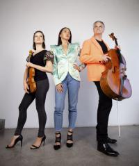 Nztrio Triumphantly Return To Live Performances This December