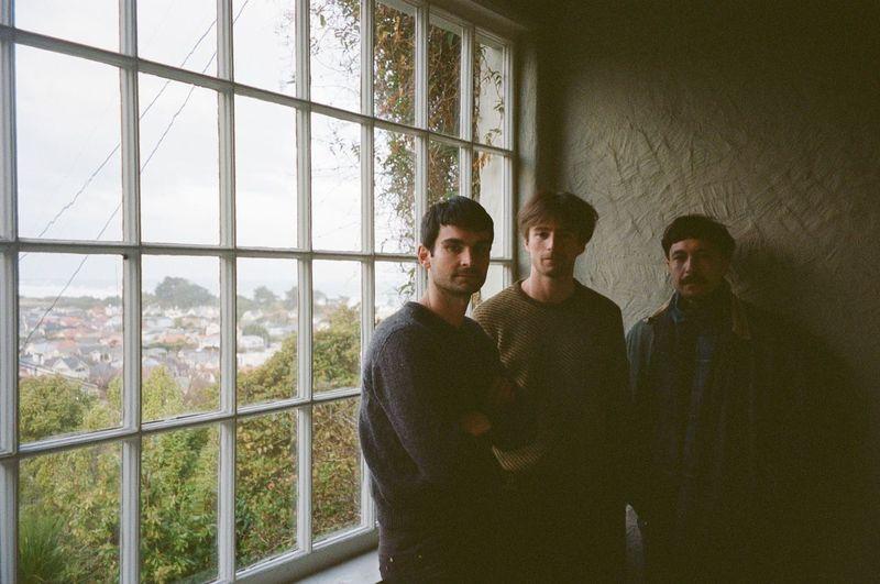 Office Dog Announces New Ep 'doggerland' New Single 'intact' + Video Out Now