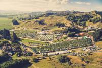 Official Statement From Rhythm And Vines