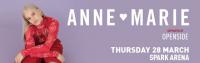 Openside Announced As Anne Marie Support