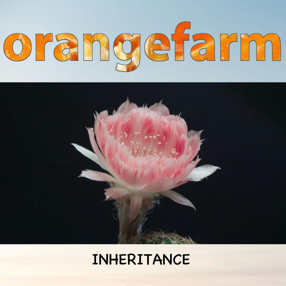 Orangefarm Release New Single And Video 'inheritance'
