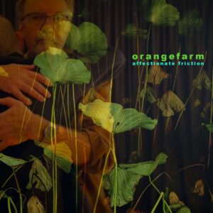 Orangefarmsinglecover