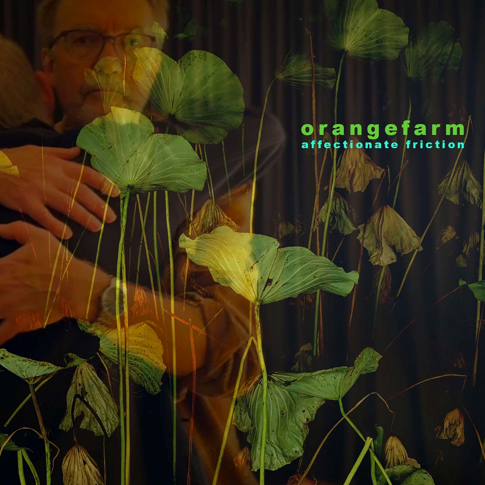 Orangefarmsinglecover