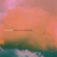 Out Now! Steve Wells' Debut Album 'songs For Summer Rain'