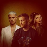 Pacific Heights Releases Lead Single From Forthcoming New Album 'cold Nights' Feat. Stan Walker & Larissa Lambert