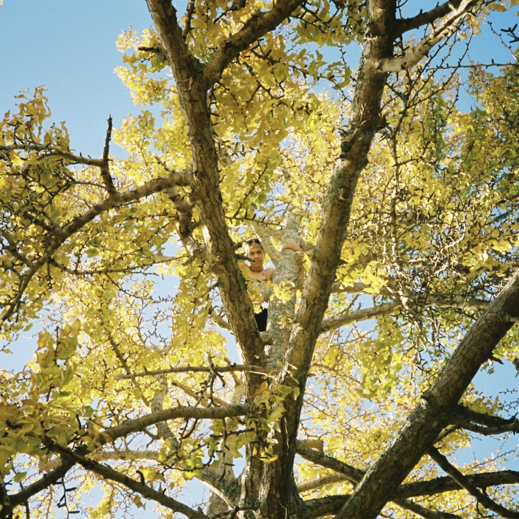 Parkrdcover