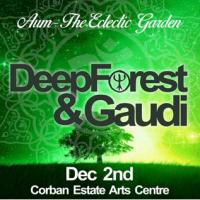 Performing In Nz For The First Time Deep Forest & Gaudi