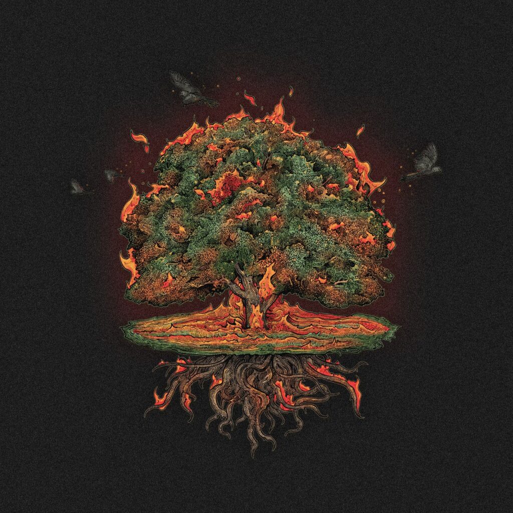 Phaseonecover