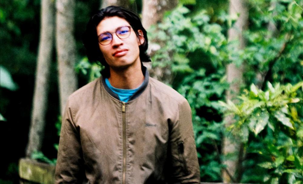 Pickle Darling Announces Album + Video By Martin Sagadin