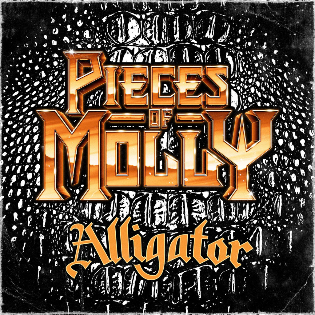 Piecesofmollycover