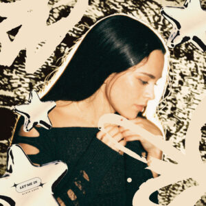 Pixielanecover