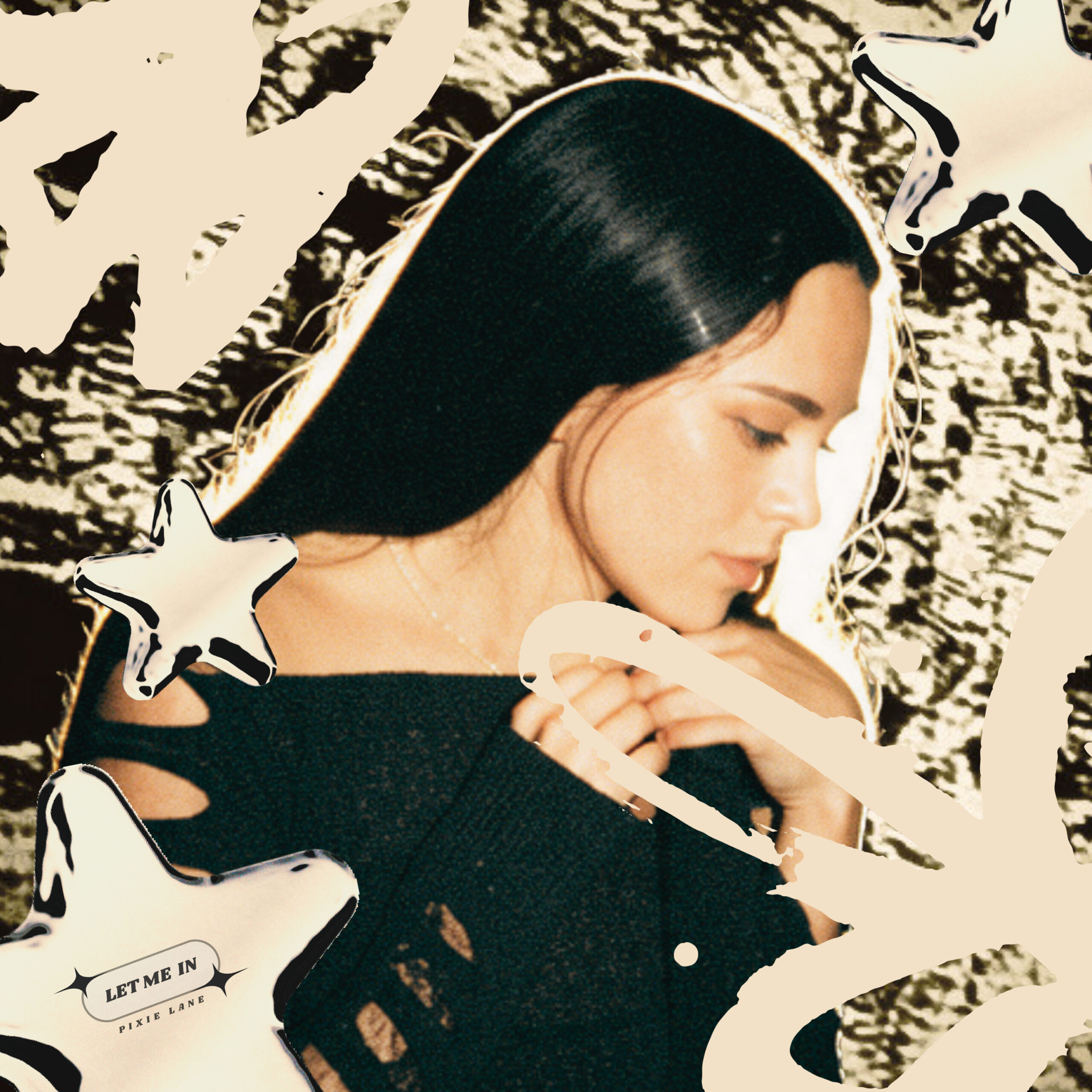 Pixielanecover
