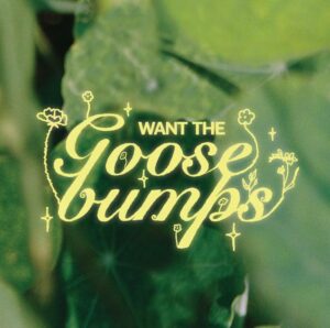 R&b Pop Gem Miakie Releases Indie Pop Single 'want The Goosebumps'
