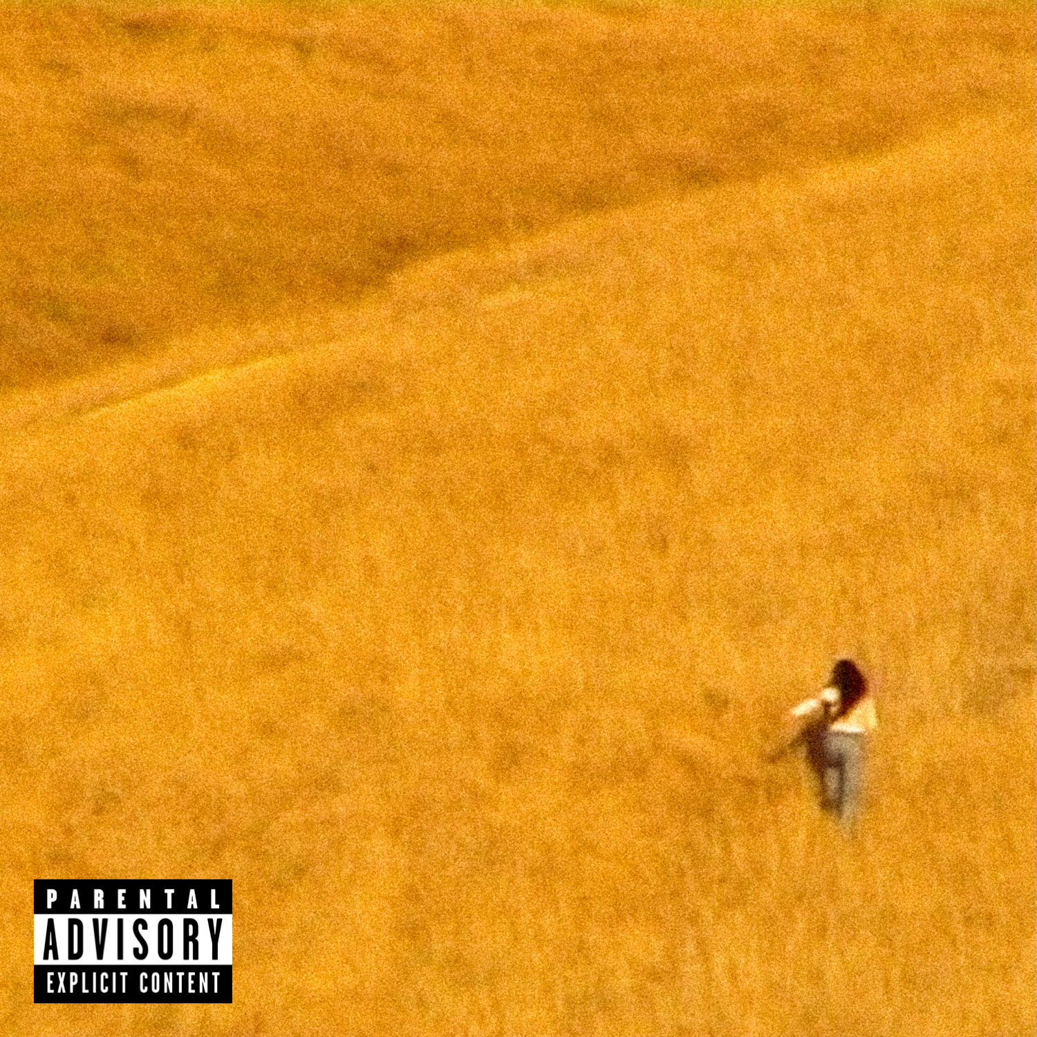Riikireidcover