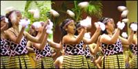 Search For Best Young Entertainer In Maori Performing Arts