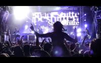Shapeshifter Live This Summer Whangamata Show Added&nbsp;