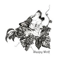 Sleepywolf Album Out November 8th