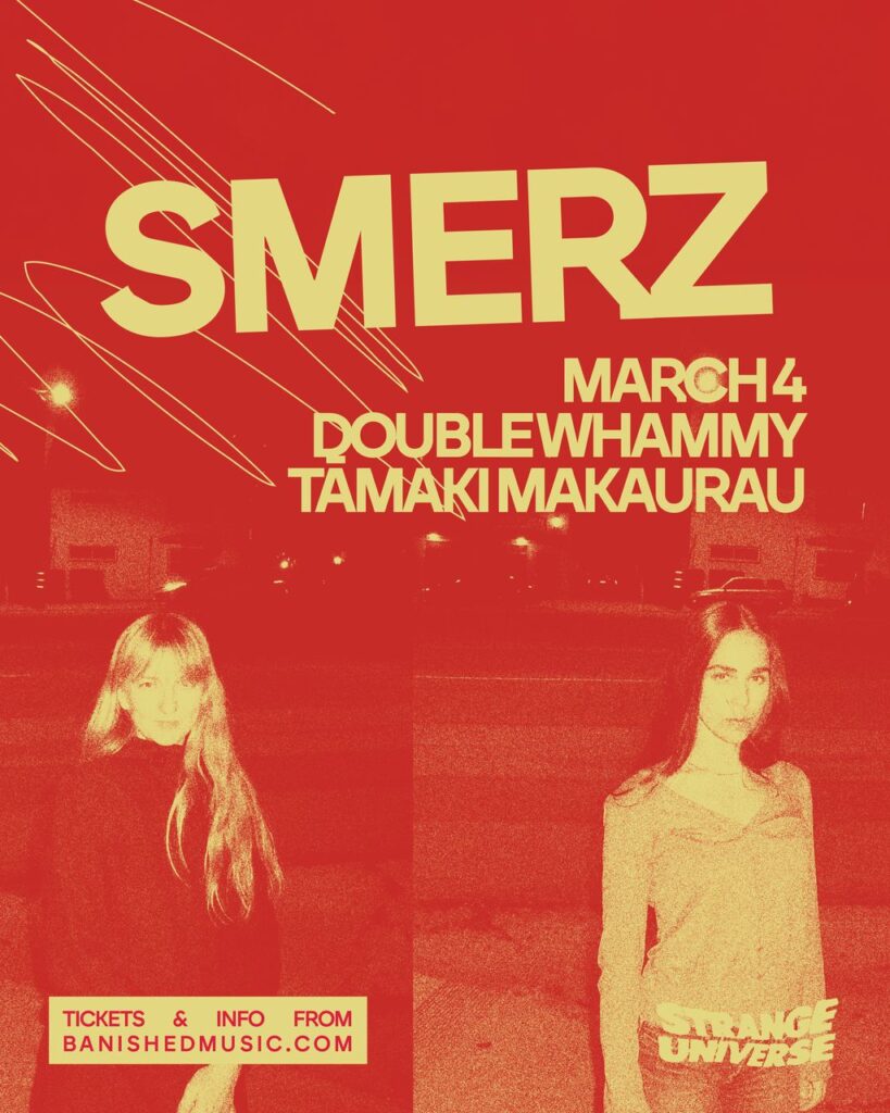 Smerzposter