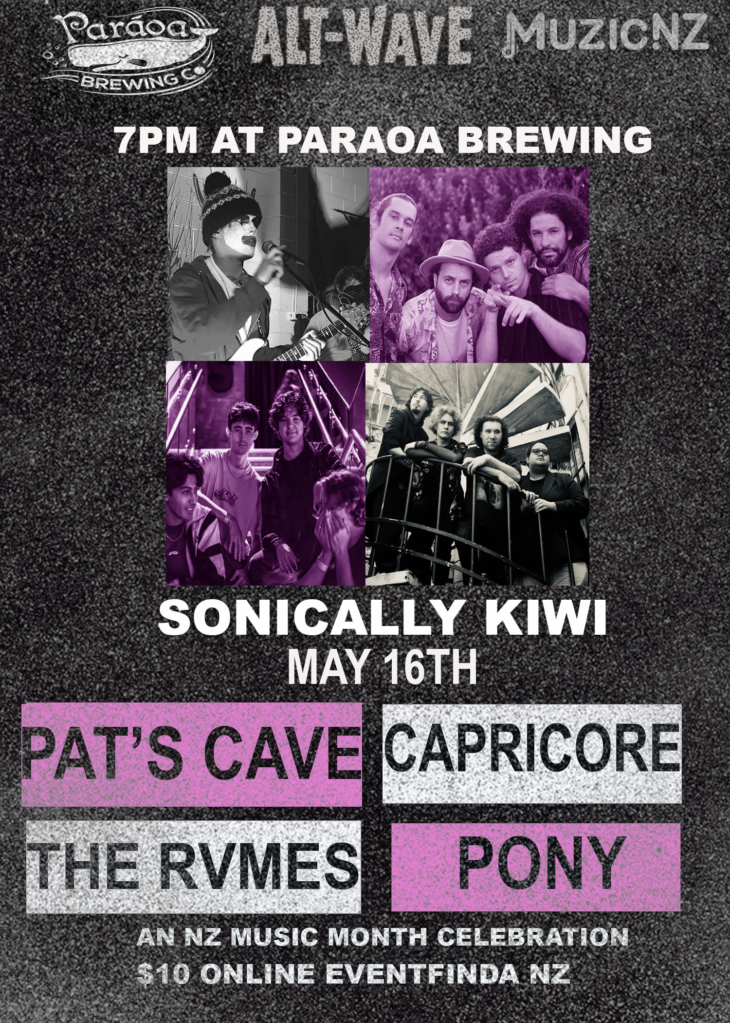 Sonicallykiwiposter