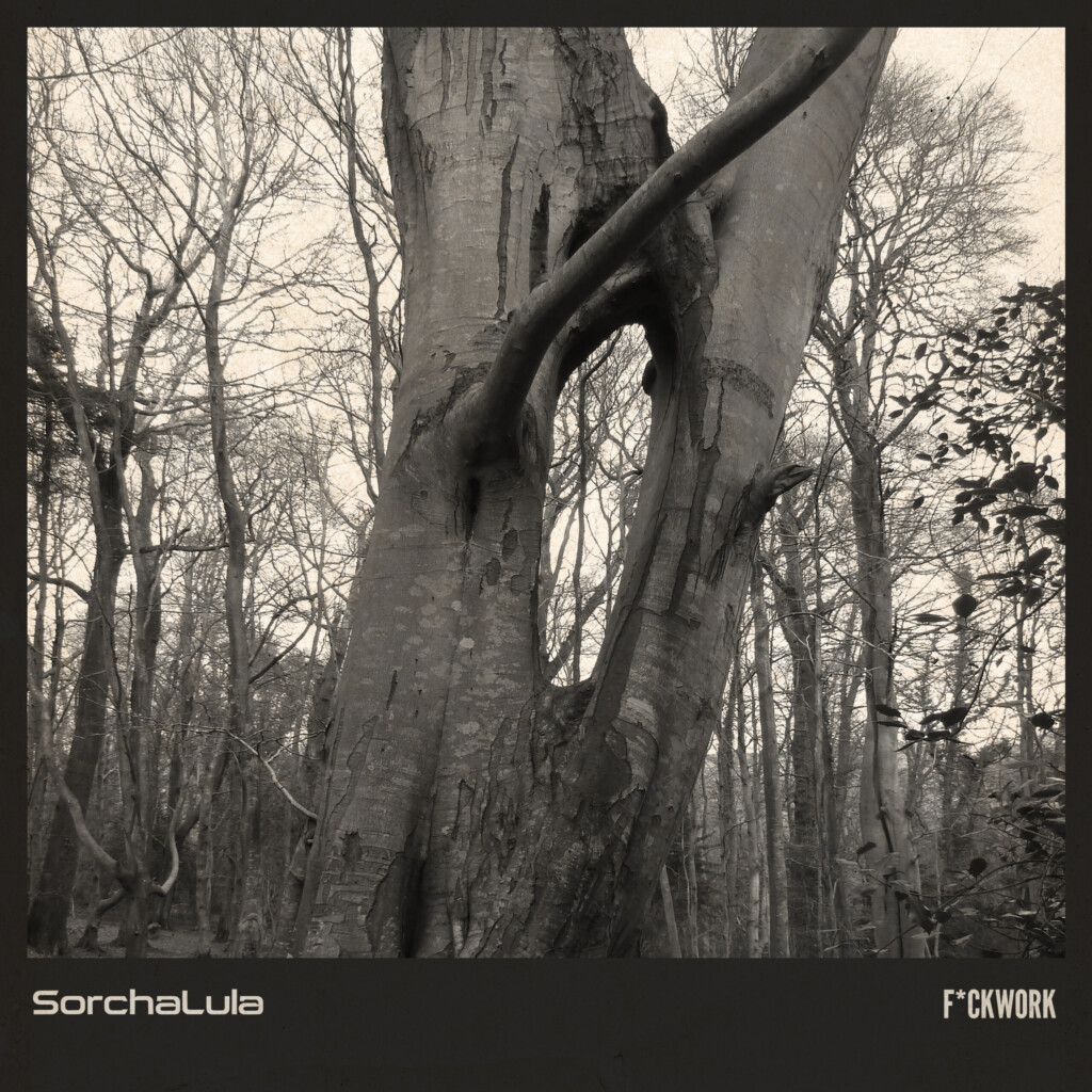Sorchalulacover