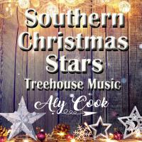 Southern Christmas Stars Aly Cook & Treehouse Music