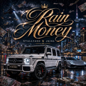 Stallyanocover