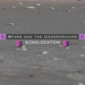 Starsandtheundergroundcover