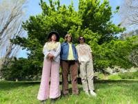 Taranaki Trio The Doublejumps Release Second Single/music Video 'the Garden'