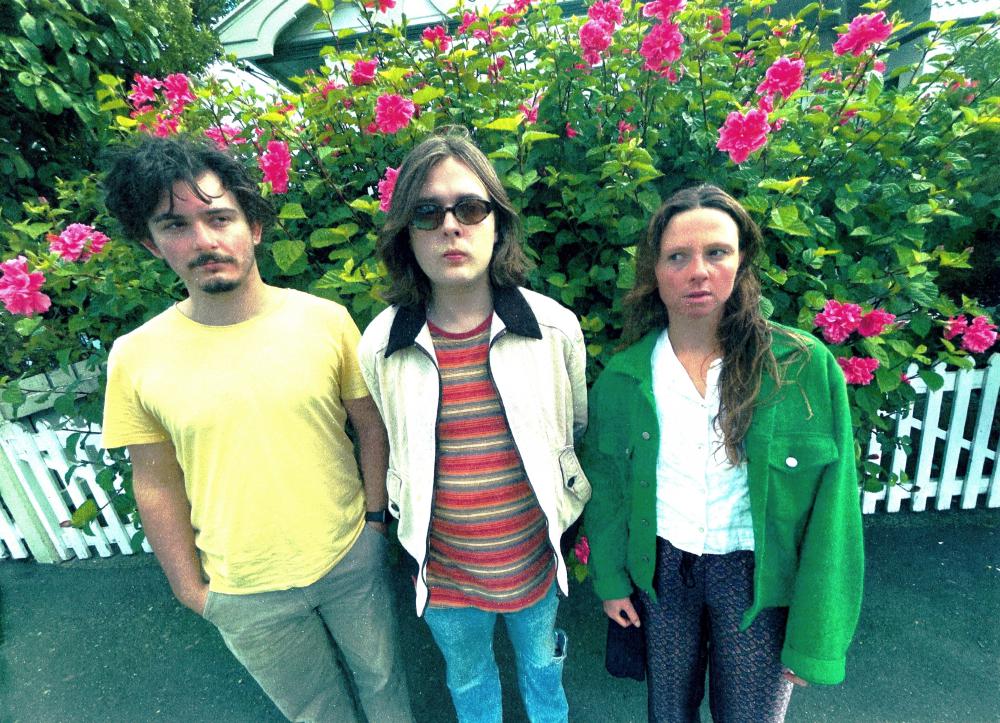 Taranaki Trio The Doublejumps Release Third Single/music Video 'the Src'