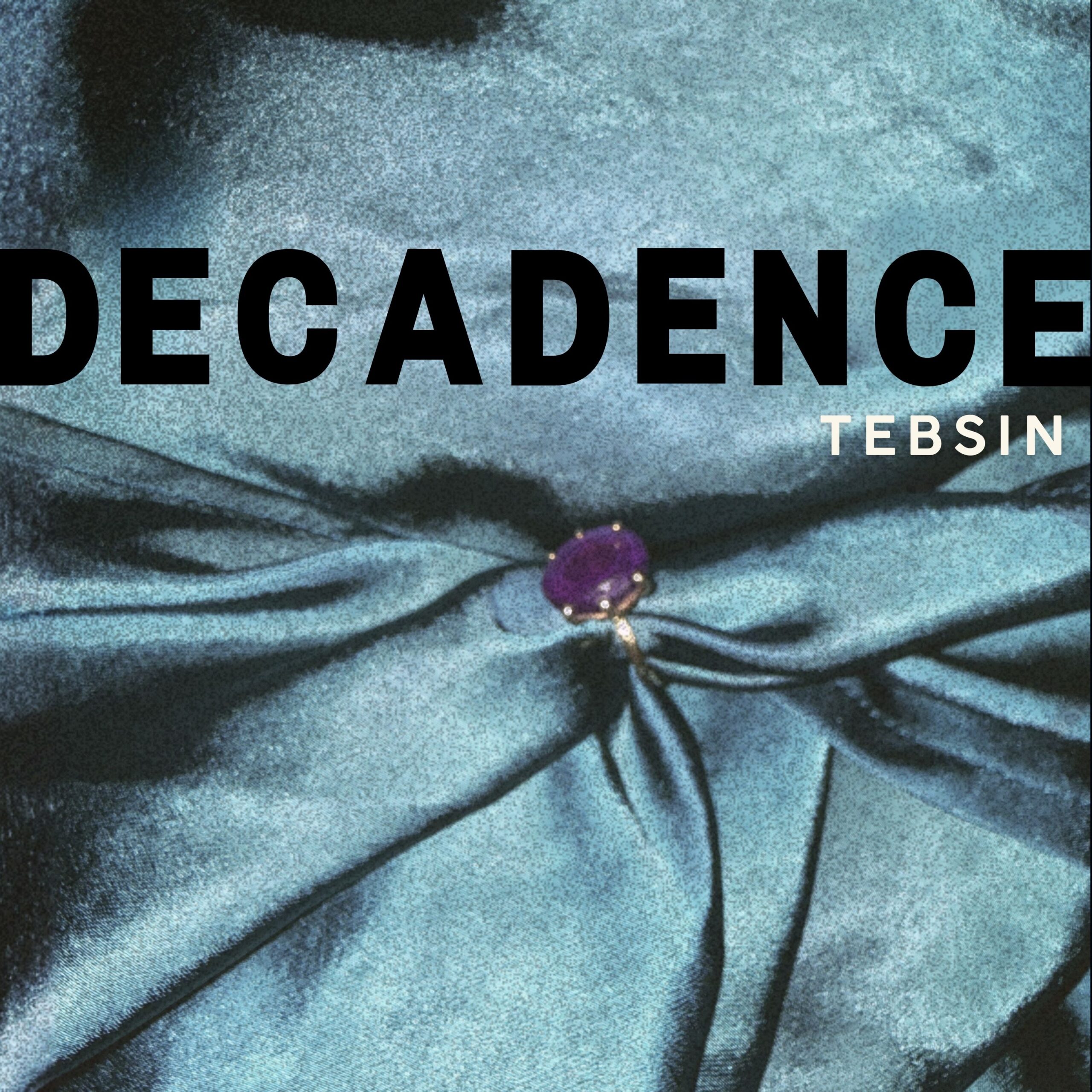 Tebsincover