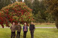 The Bats To Release 10th Full Length Album 'foothills' This November