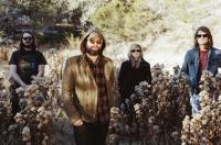 The Black Angels Announce Nz Tour!